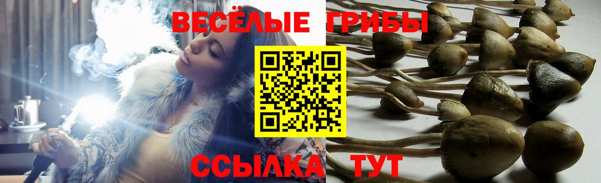 даркнет сайт  Вход с VPN  Вологда  Галлюциногенные грибы GOLDEN TEACHER 